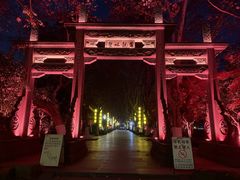 -杭州黄龙洞