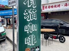 -有猫主题·治愈系猫咖(曾厝垵店)