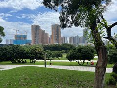 -红花山公园