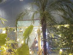 -CIAO·团建聚餐·生日派对轰趴馆(福田店)