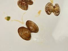 -红钳侠小龙虾·烧烤(中赢康康谷店)