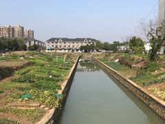 -知味观(翡翠城店)
