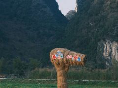 -靖西鹅泉风景区