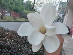 -中国计量大学(西校区)