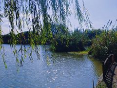 -沙家浜风景区