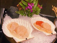 大扇贝-官也街澳门火锅(新源里店)