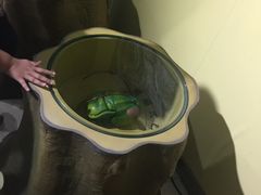 -上海昆虫博物馆