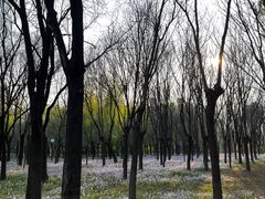 -太阳宫公园