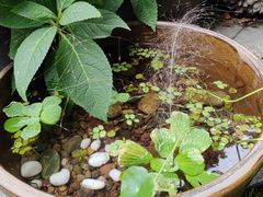 -川匠·睡眠采耳·SPA(九眼桥店)