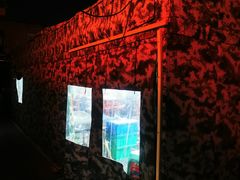 -东北田记家常菜