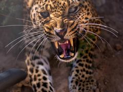 -终南山国家森林公园