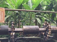 -车溪民俗旅游区
