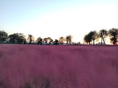 -汉长安城未央宫国家考古遗址公园