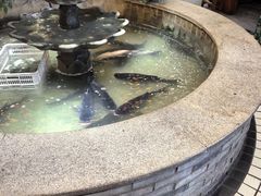 -万里闯关东铁锅炖菜馆(高新旗舰店)