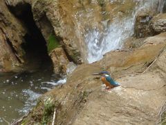 景点-云台山风景名胜区