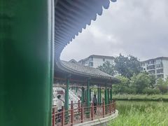 -西海子公园