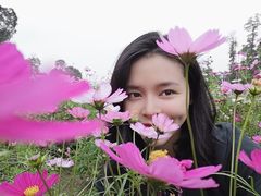 -秀丽东方
