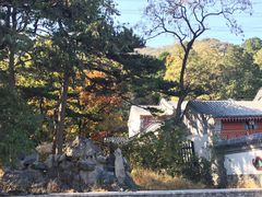 -阳台山自然风景区