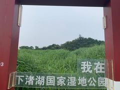 -下渚湖国家湿地公园科普馆