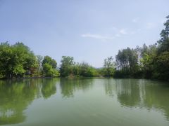 -西溪国家湿地公园