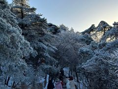 -黄山风景区