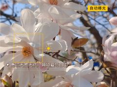 -上海辰山植物园