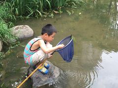 -新湖明珠城