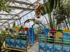 -南宫五洲植物乐园