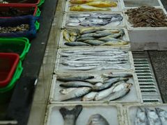 -龙宫海鲜楼(长乐漳港店)