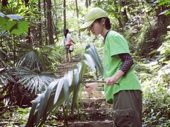 -素山寺森林公园