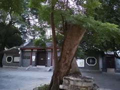 -柳侯公园
