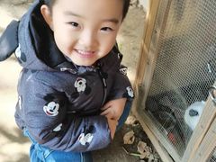 -蒙蒙狮蒙台梭利儿童之家