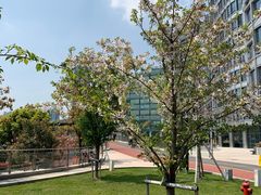 -北外滩滨江绿地