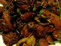 -赵记煎饼卷大葱(东岳店)