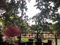 -许鲜生健康生活馆·精细潮菜(奥绅体育公园店)