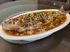 飞虹鱼-飞虹鱼馆(春华路店)