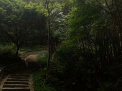 -黄埔油麻山森林公园