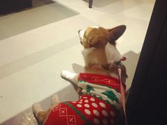 -HIHE Bistro·Oyster Bar(华熙live店)