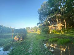 -四季酒店下午茶