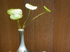 -观海海鲜(松山湖卓为城店)