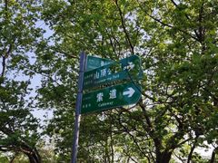 -紫金山山顶公园