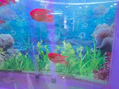 -雅悦齿科(顾村公园店)