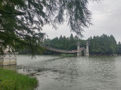 -东湖落雁景区