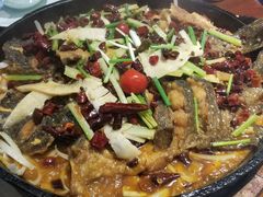 -老板恋上鱼(高新万达店)