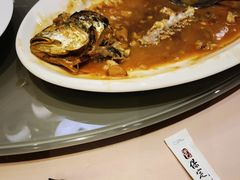 野生大黄鱼-保定会馆(秀兰店)