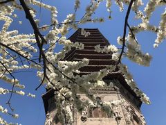 -玲珑塔公园
