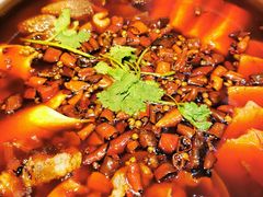 -红辣椒·川菜·火锅(张杨路店)