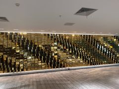 -大视光学•LINDBERG林德伯格•全球手工眼镜集合店(王府井店)