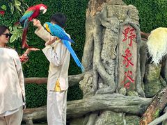 -西双版纳原始森林公园