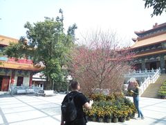 -宝莲禅寺